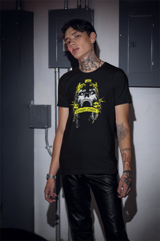 Load image into Gallery viewer, Triple H Tremble before the Hammer Mens T-shirt Single Sided Print
