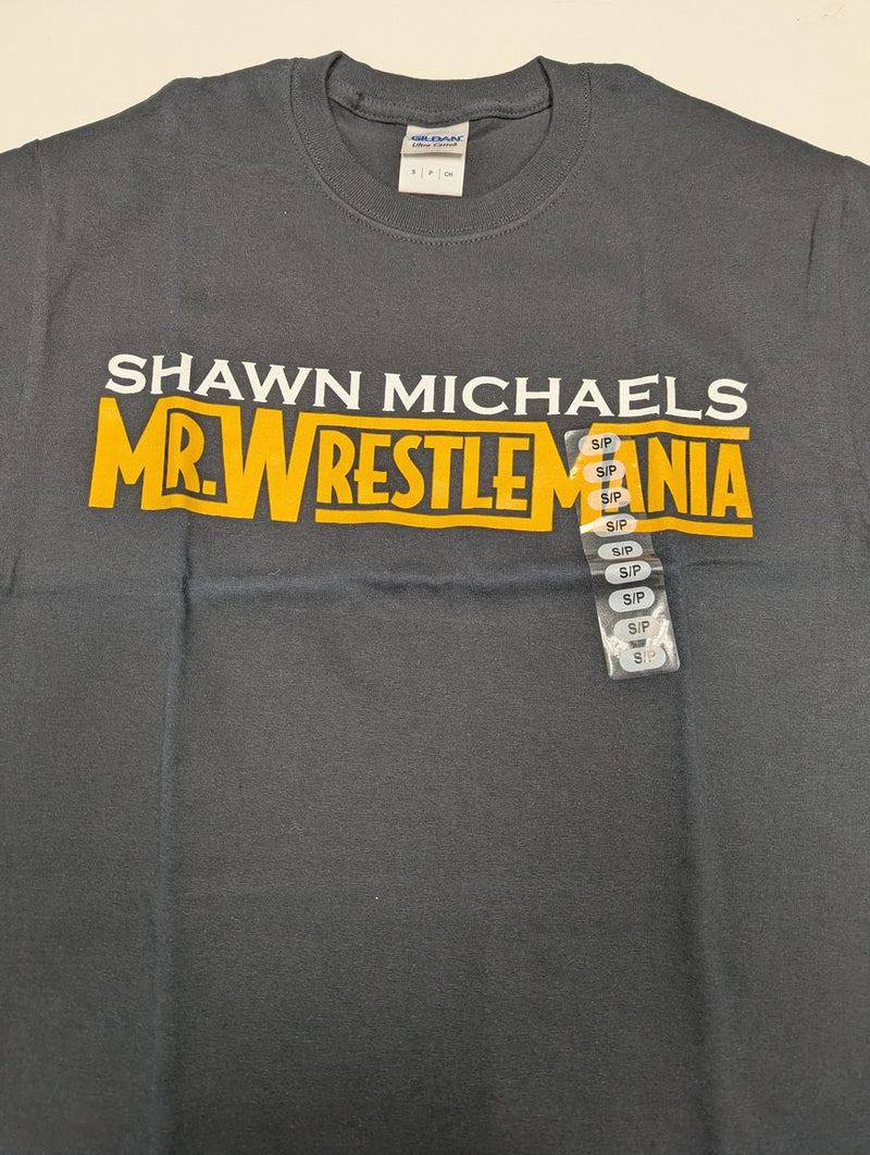 Load image into Gallery viewer, Lot of 10 Men Size Small T-shirts | Cena Orton Undertaker The Rock (S)
