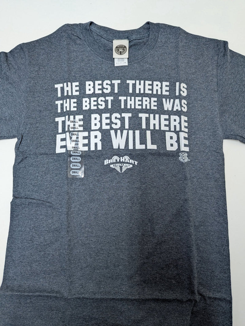 Load image into Gallery viewer, Lot of 10 Men Size Small T-shirts | Cena Orton Undertaker The Rock (S)
