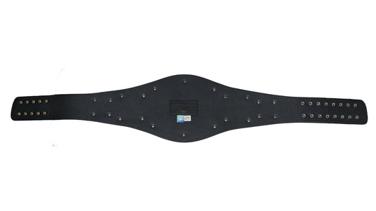 WWE Championship John Cena Spinner Replica Title Belt Spinning Plate