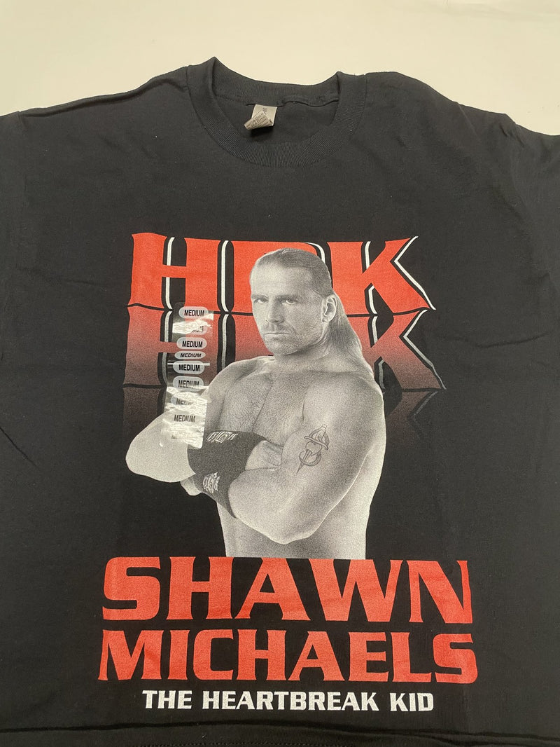 Load image into Gallery viewer, 10 Men Size Medium WWE T-shirts | Cena Orton Undertaker The Rock Lot 2
