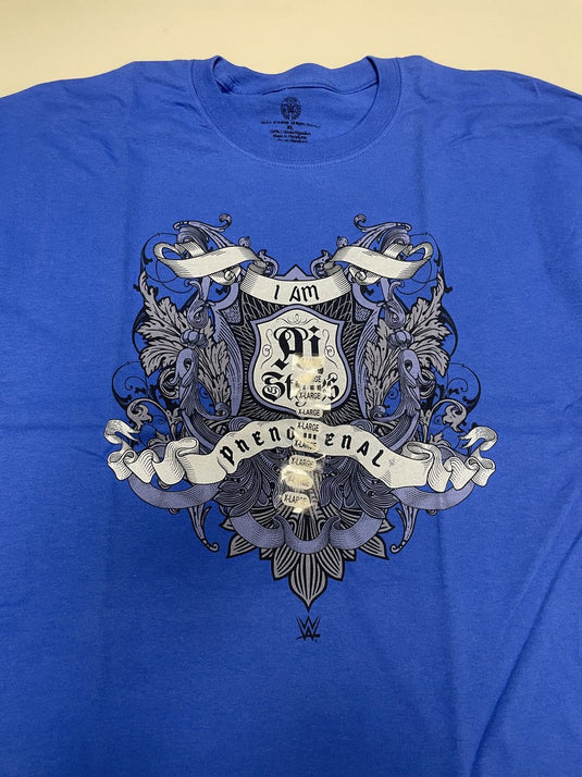 Lot of 8 Men Size XL WWE Authentic T-shirts | Cena Orton Undertaker The Rock NEW (XL)