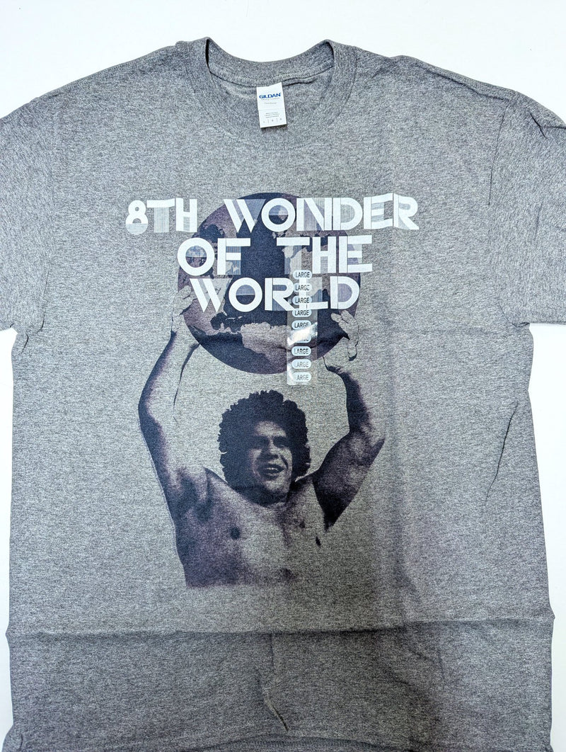 Load image into Gallery viewer, 8 Men Size Large WWE T-shirts | Cena Orton Undertaker The Rock Lot 2

