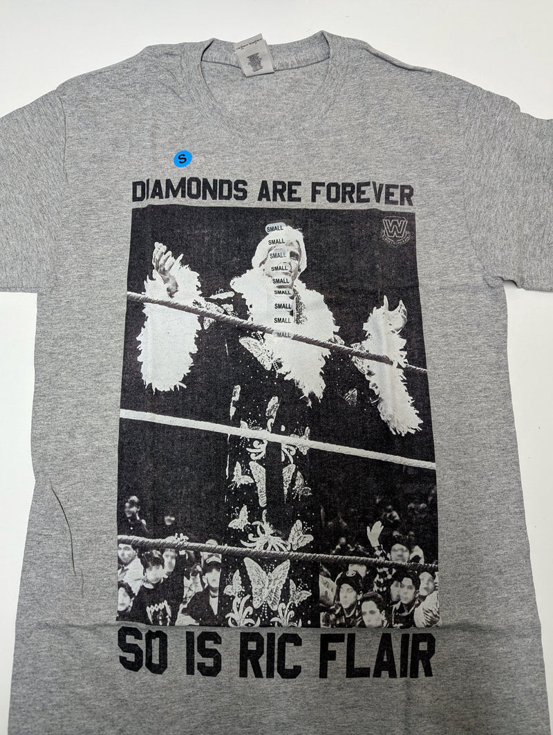 Load image into Gallery viewer, Lot of 10 Men Size Small T-shirts | Cena Orton Undertaker The Rock (S)

