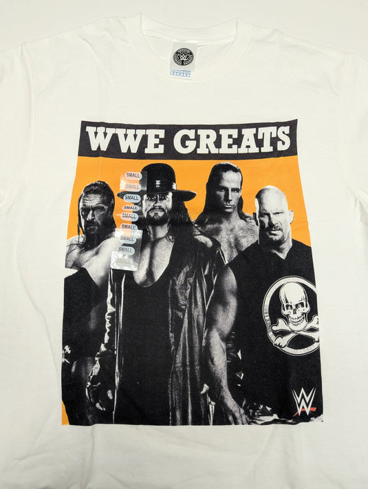 Lot of 10 Men Size Small T-shirts | Cena Orton Undertaker The Rock (S)