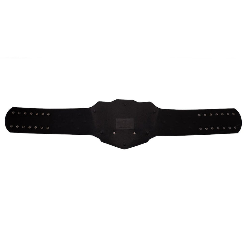 Load image into Gallery viewer, WWE ECW Championship 2008 Replica Title Belt Zinc Alloy Rhinestone
