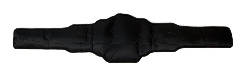 Load image into Gallery viewer, Undisputed Heavyweight Championship Replica Title Belt with Bag by EWS | Extreme Wrestling Shirts
