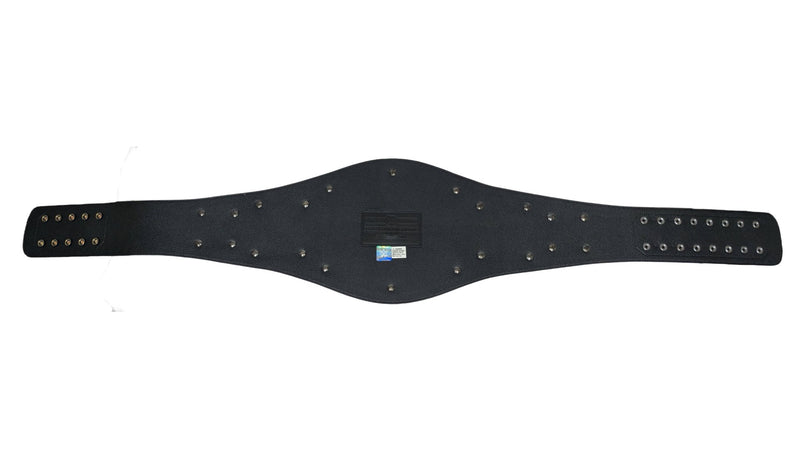 Load image into Gallery viewer, WWE Championship John Cena Spinner Replica Title Belt Spinning Plate One Size by EWS | Extreme Wrestling Shirts
