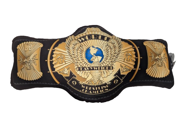 Load image into Gallery viewer, WWE Winged Eagle Championship Big Shots Pillow Officially Licensed by EWS | Extreme Wrestling Shirts
