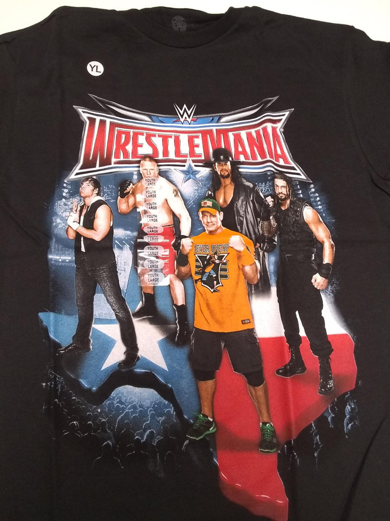 Load image into Gallery viewer, Lot of Youth Large WWE T-shirts | John Cena Roman Reigns Boys Kids (YL)
